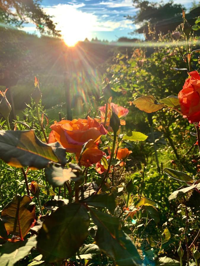 Otter'S Pond Bed And Breakfast Eastsound Exteriér fotografie