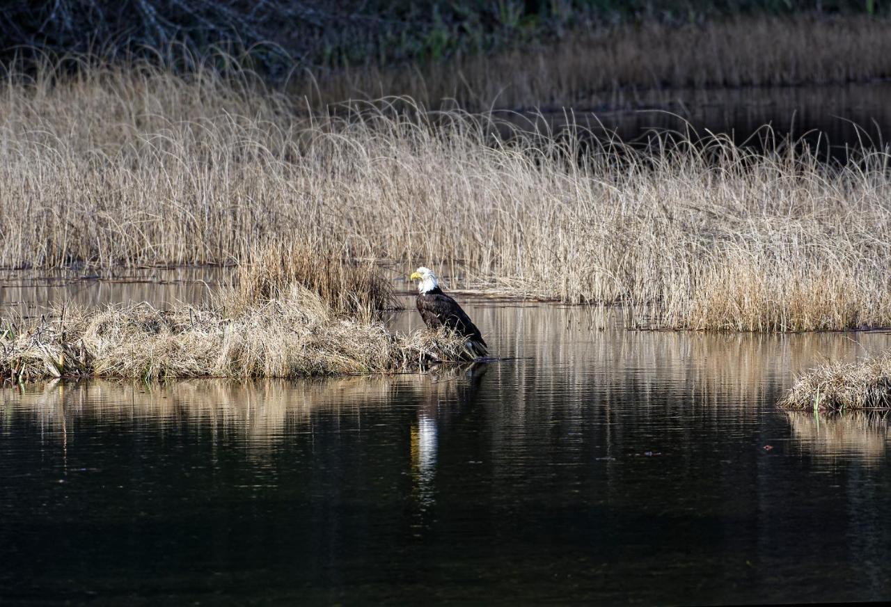 Otter'S Pond Bed And Breakfast Eastsound Exteriér fotografie