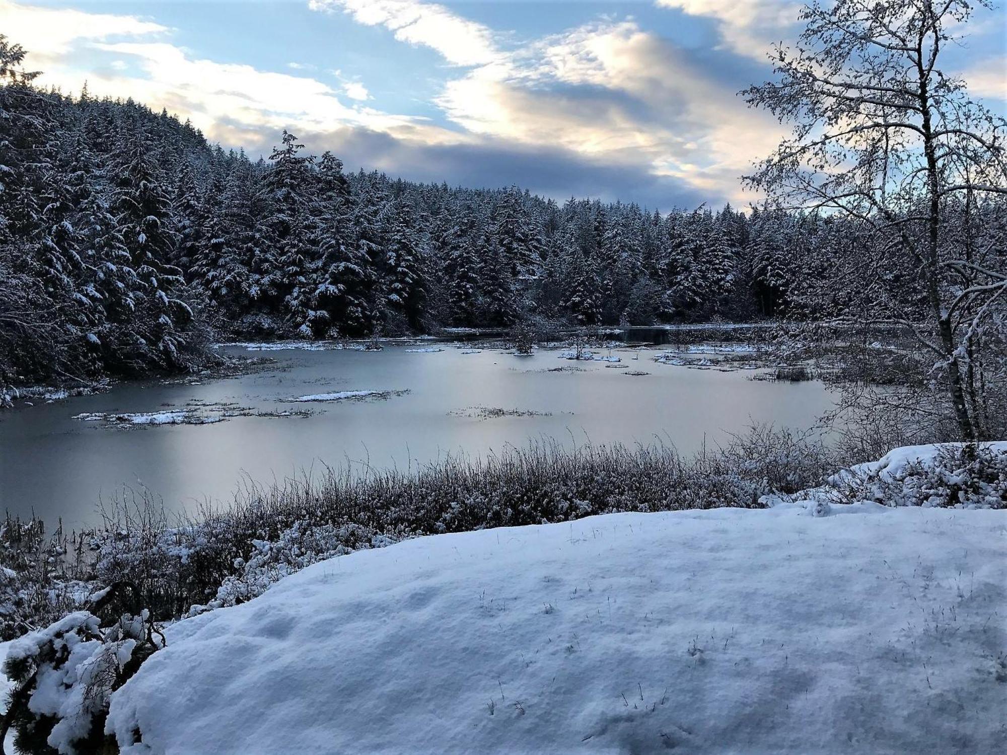 Otter'S Pond Bed And Breakfast Eastsound Exteriér fotografie