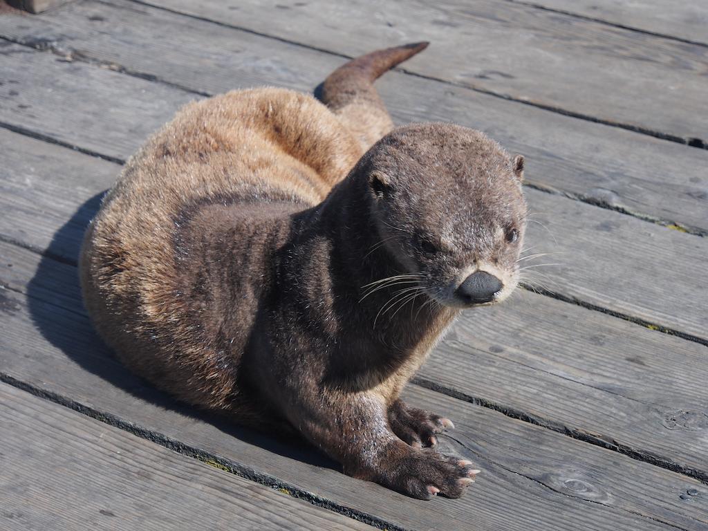 Otter'S Pond Bed And Breakfast Eastsound Exteriér fotografie