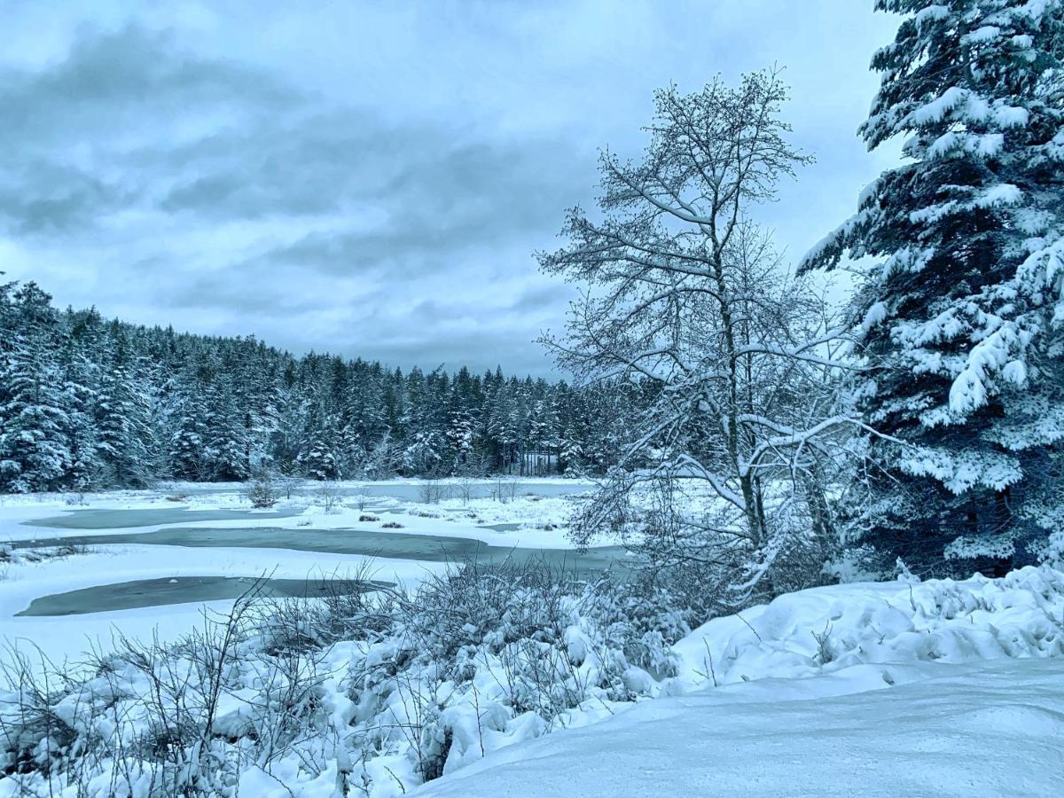 Otter'S Pond Bed And Breakfast Eastsound Exteriér fotografie